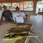 Daliken Sportfishing San José del Cabo