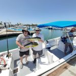 Daliken Sportfishing San José del Cabo