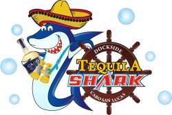 tequila-shark-marina-cabo